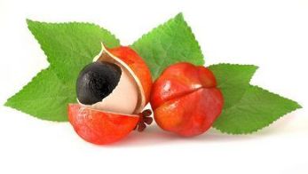 Il frutto di guaranà è l'ingrediente principale di Gigant