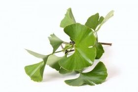 ginkgo biloba per l'ingrandimento del pene